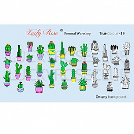 Lucky Rose True Colours - 19